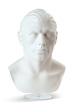 White Auton Head