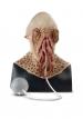 Ood Replica Mask