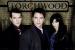 Torchwood Team