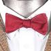 11th Doctor Bow Tie