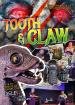 Tooth & Claw: How to Create an Exhibition