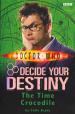 Decide Your Destiny 3: The Time Crockodile (Colin Brake)