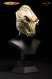 Sycorax Helmet