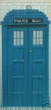 TARDIS Bamboo Door Curtain